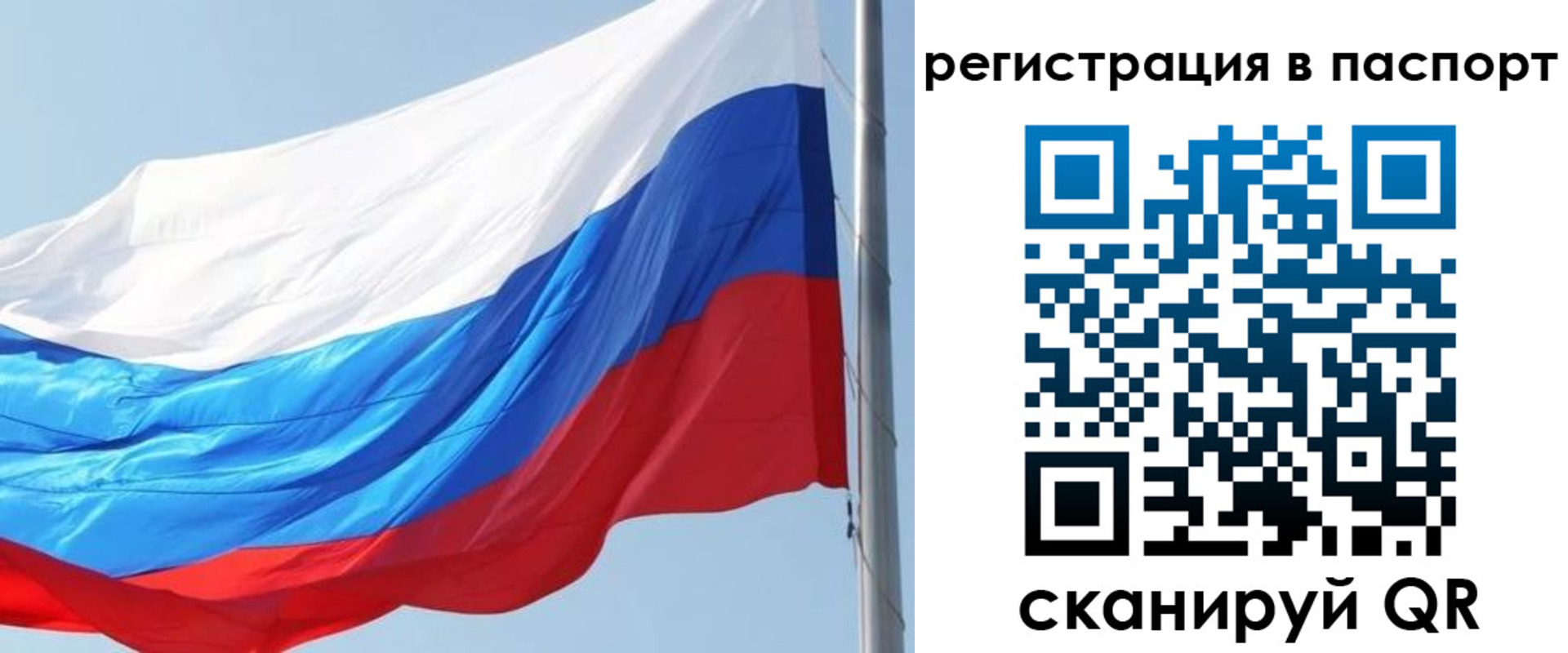 прописка законно в Снежногорске